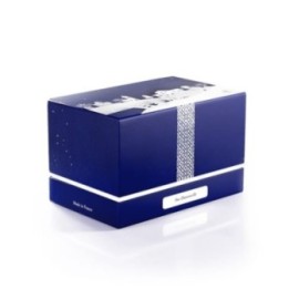 U- ZBox 60 Noel Bleue