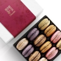 ZBOX Tentation Romantique