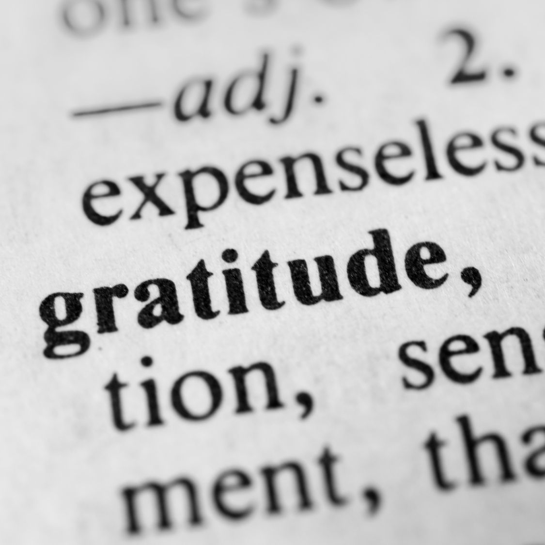 Happy Valentine's Day